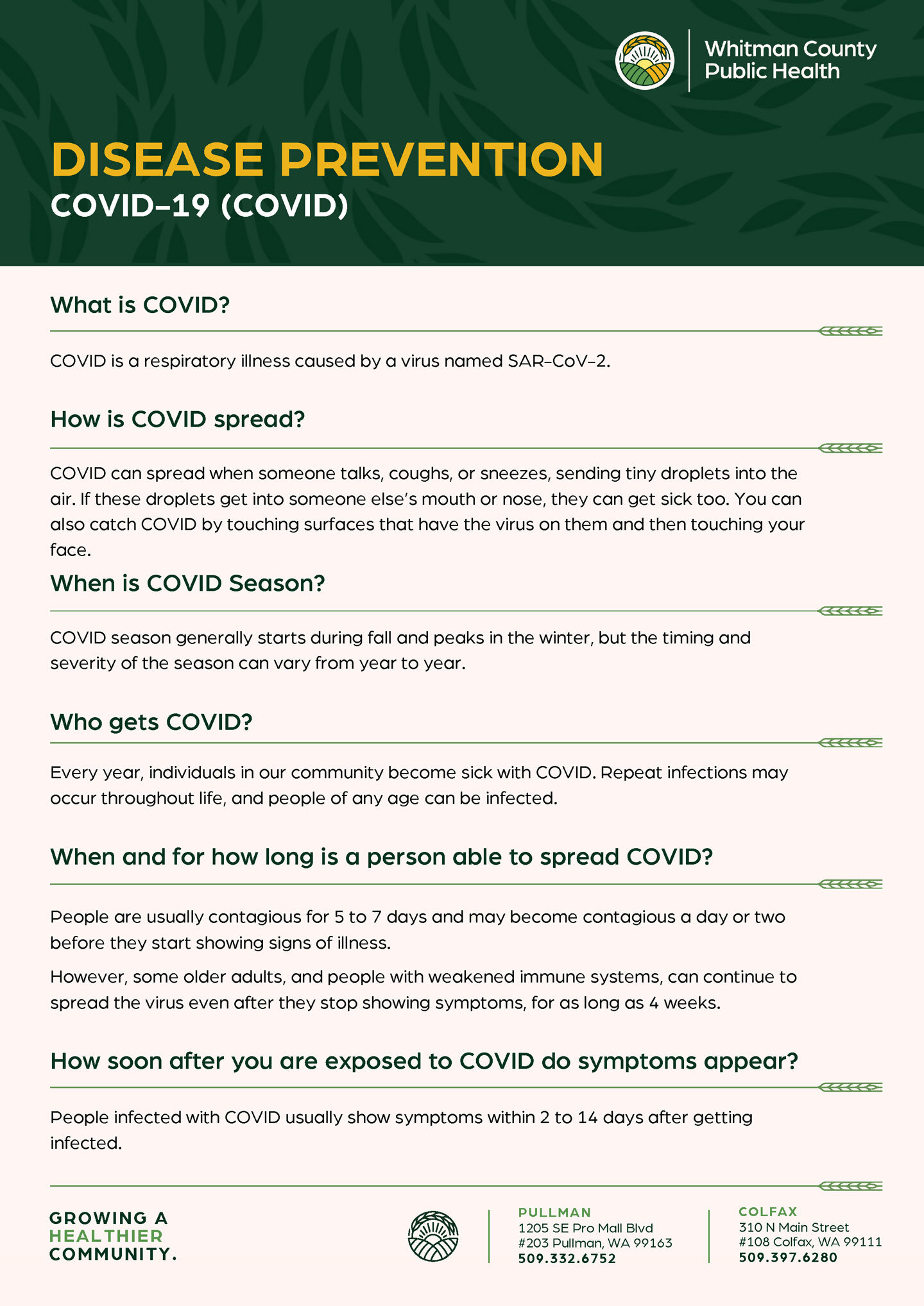 COVID Fact Sheet A4 Page 1