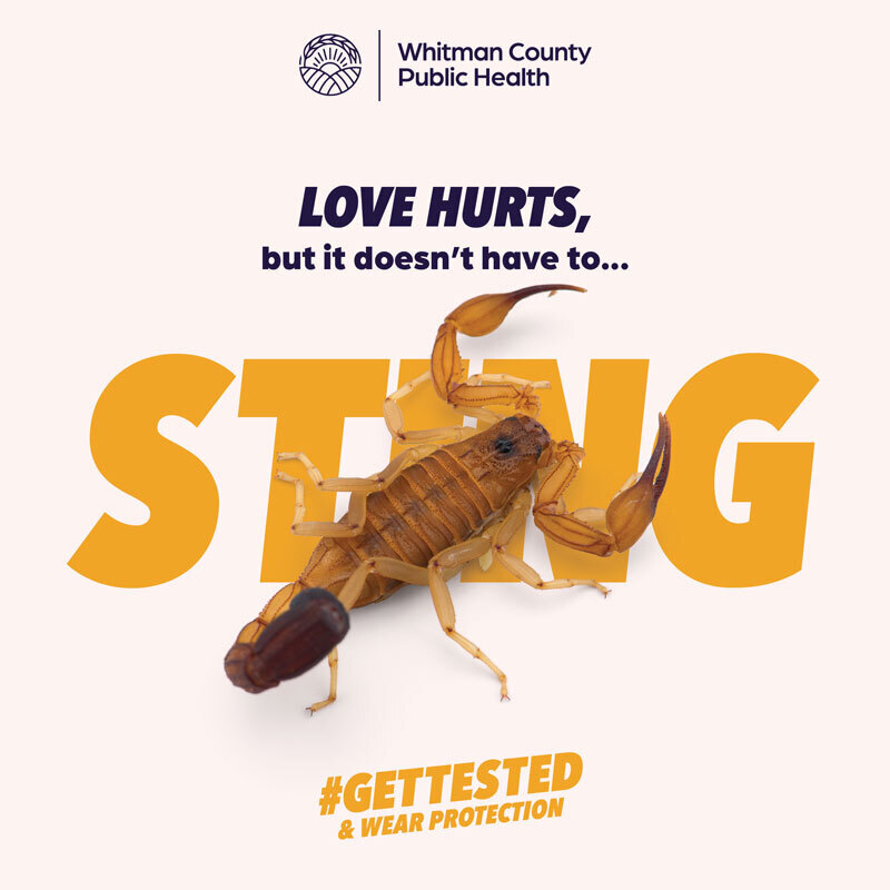Whitman County | Sexually Transmitted Infections (STIs)