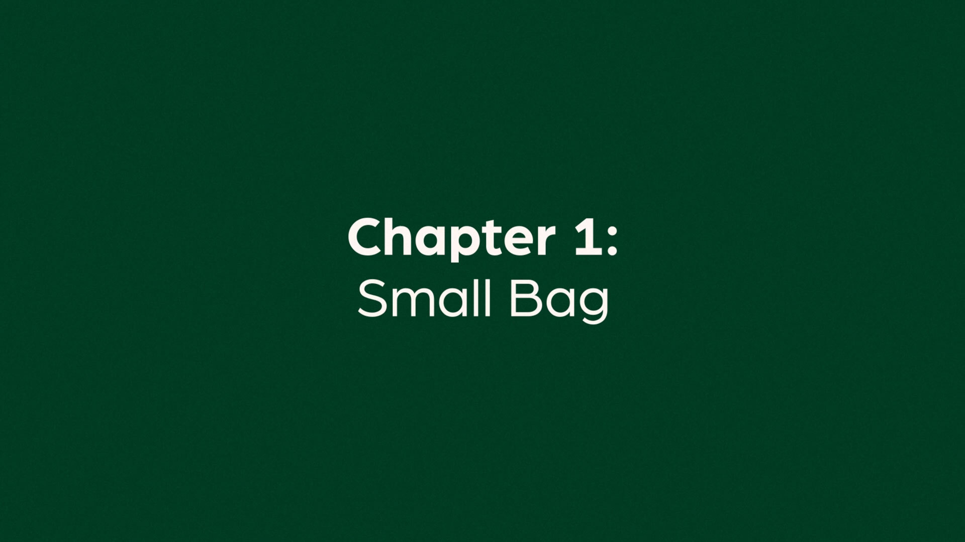 Small Bag thumbnail