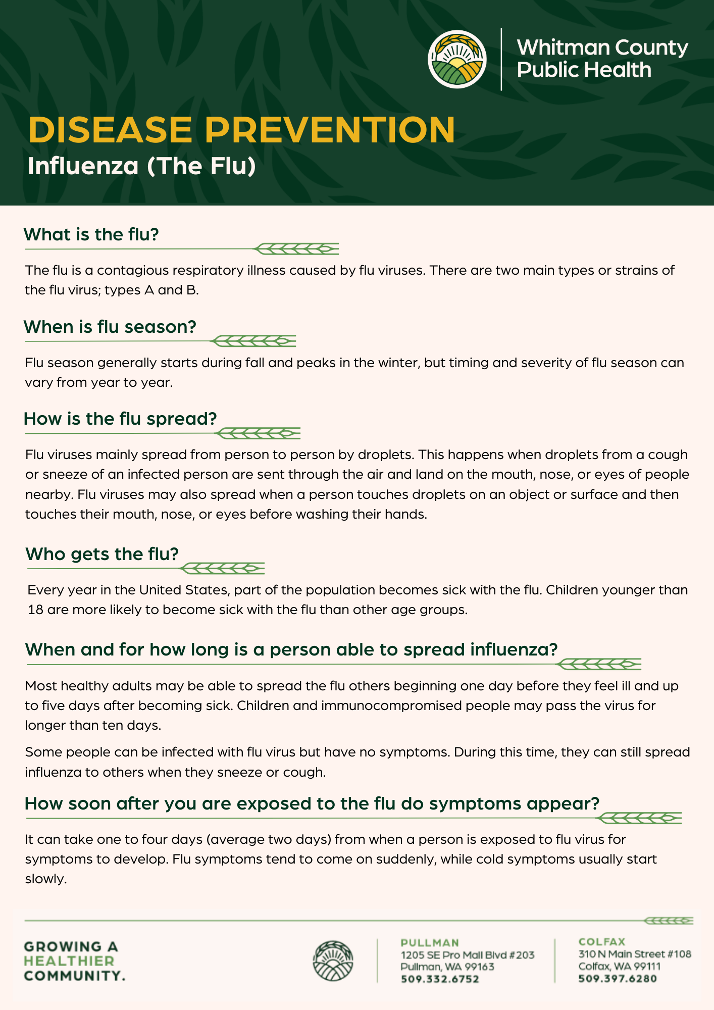 Flu Fact Sheet: Pg 1 Preview
