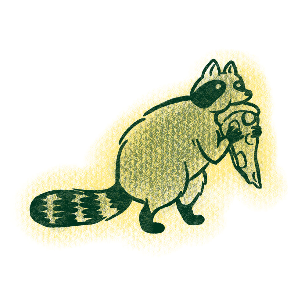 illnessFromAnimal image