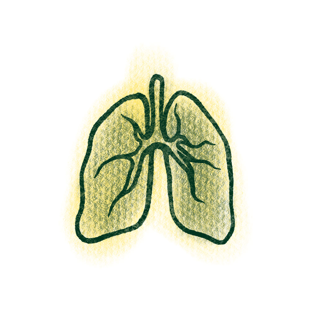 respiratoryIllness image